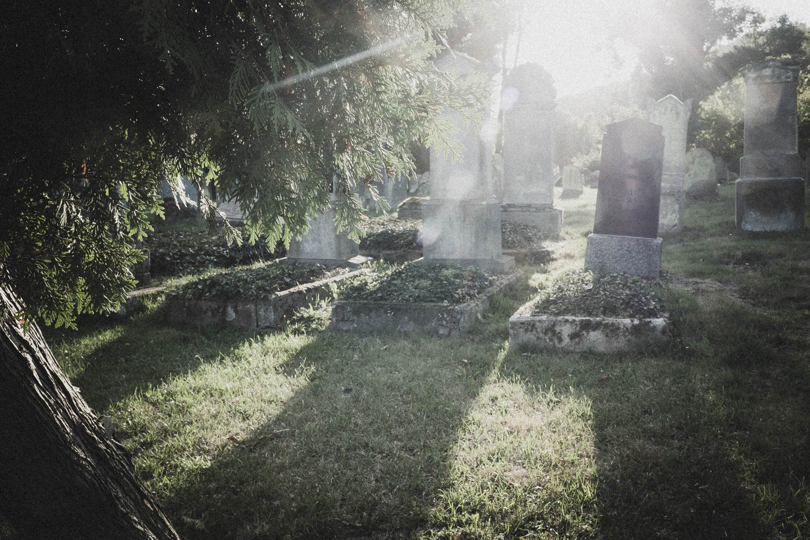Beverungen, Jüdischer Friedhof